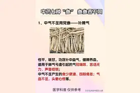 中药七种“参” 参参各不同，你知道差别吗？图片