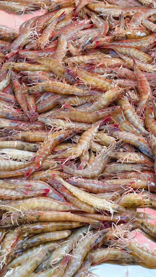 目测要火！烟台这座小城最近好看得离谱