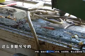 托管给“我爱我家”, 阿姨遭遇“拉黑”警告？图片