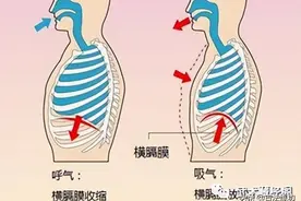 老师父们都不说的地方：逆腹式呼吸与发劲配合的方法图片