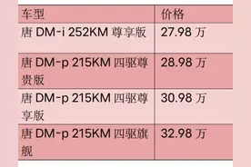 2022款比亚迪唐DM-p/DM-i正式上市，售价27.98万-32.98万图片