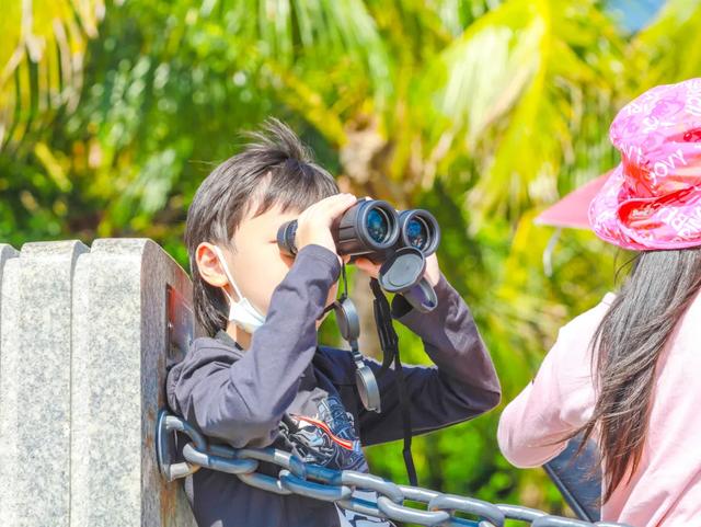 火热报名中！超好玩的亲子活动上线啦