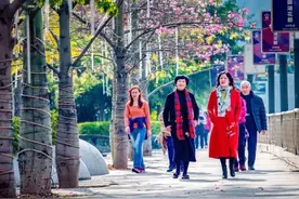 攀枝花，北方人喜欢的避寒养老城市，那里比三亚珠海还舒服吗？图片