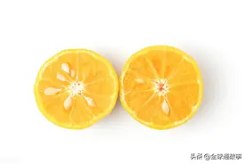 江湖仁义大哥—加代在广州发展业务遇到困难，积极有效应对图片