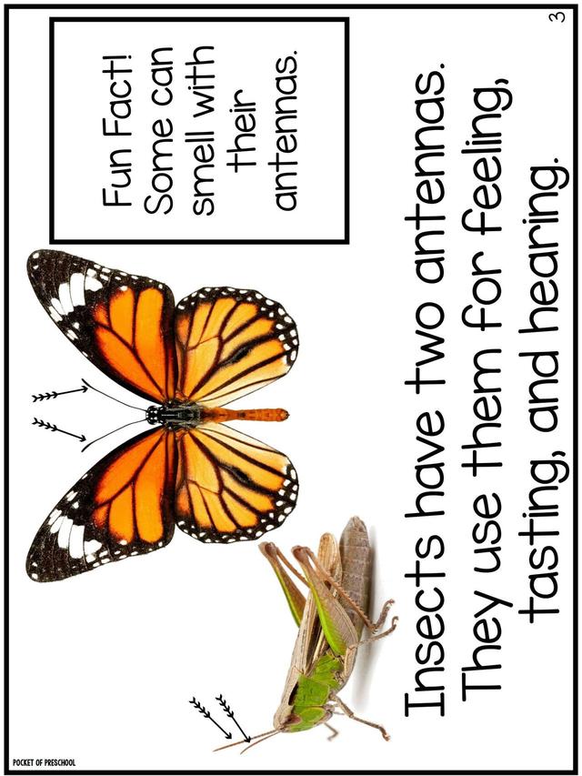 С��ѧ��̽��ϵ��֮�������׻�زİ�