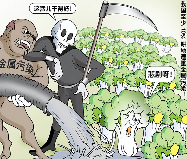 将禁止牛羊粪直接还田，专家称：这样容易导致环境污染