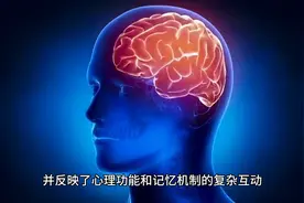昨晚梦到自己毕业当了警察。为什么在梦境里，总是第三人称。图片