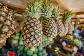 菲律宾菠萝，一年卖给中国20万吨，几乎垄断我国进口菠萝市场图片