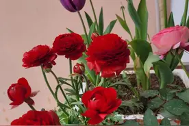 做一个不扫兴的长辈图片