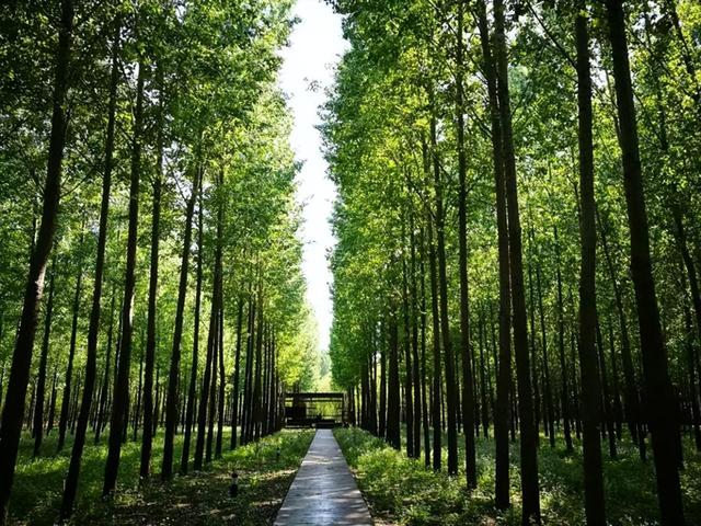 雁鸣湖蟹岛好玩吗（这里距郑州市区仅30分钟）