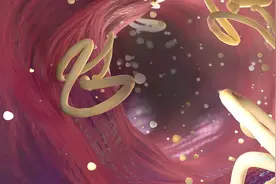 颠覆！肠道寄生虫不一定有害？还可能是良药？图片