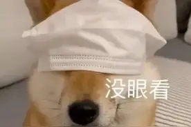 带孩子去看驼背，医生竟说问题出在脚上？图片
