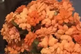 女人要自尊自爱图片