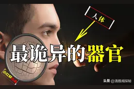 人体最诡异的器官，科学家都无法解释其原理，还藏着针灸的奥秘图片