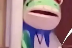 国内随处可见的卖崽青蛙，在tiktok里成了顶流图片