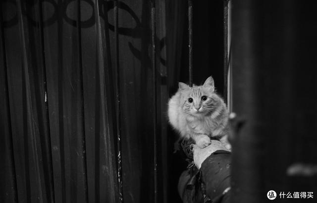 是情怀，还是真本事？探秘徕卡Leica