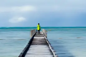 我花了12年时间，终于亲手毁了自己的孩子图片