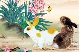 一生福气最旺的3大生肖女，不是成老板娘，就是少奶奶命注定富贵图片