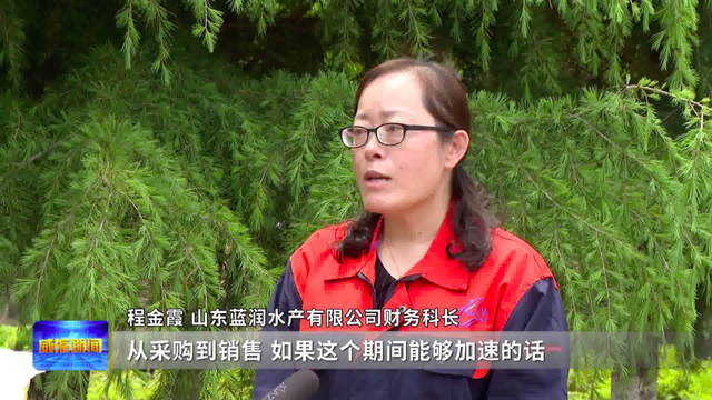 金枪鱼海参胶原蛋白肽 2026年金枪鱼海参胶原蛋白肽固体饮料