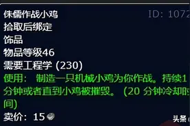 魔兽世界怀旧服：这些道具准备好了，p3才能打出最高输出图片