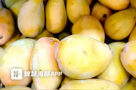 仅是切个芒果，泉州一女子竟肿起半边脸！医生提醒……图片