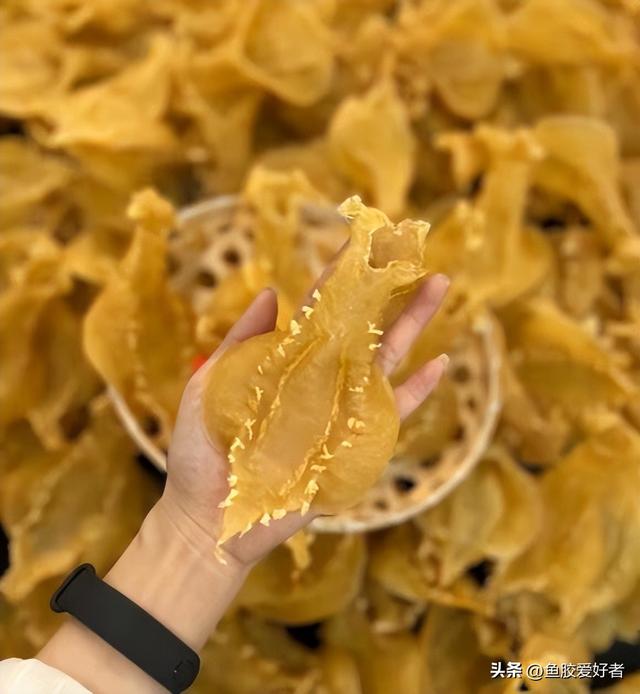 孕妇吃鱼胶的禁忌 2026年孕妇吃鱼胶的禁忌和副作用