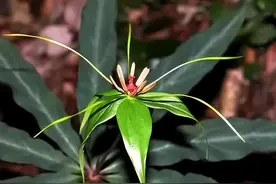 避免癌症复发与转移，这三类药不可少图片