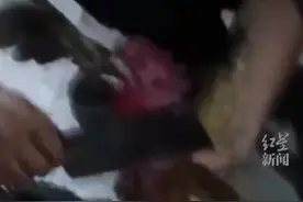 公鸡早上5点多打鸣影响考生休息当晚就被吃，主人：绝不让它活到明天早上，影响孩子休息图片
