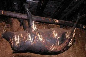 四川臭猪肉悬挂房梁53年，当地人却用来招待贵宾，这肉还能吃吗？图片