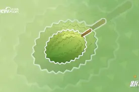 榴莲进口价格6年翻3倍 国产化能把榴莲价格打下来吗？图片