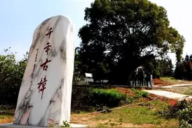 湖北十大最美古树，森林瑰宝，尽显生态人文之美图片