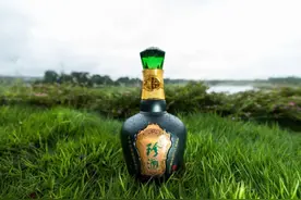 茅台费尽心力教出来的6位“徒弟”，多年过去，现在怎么样了？图片