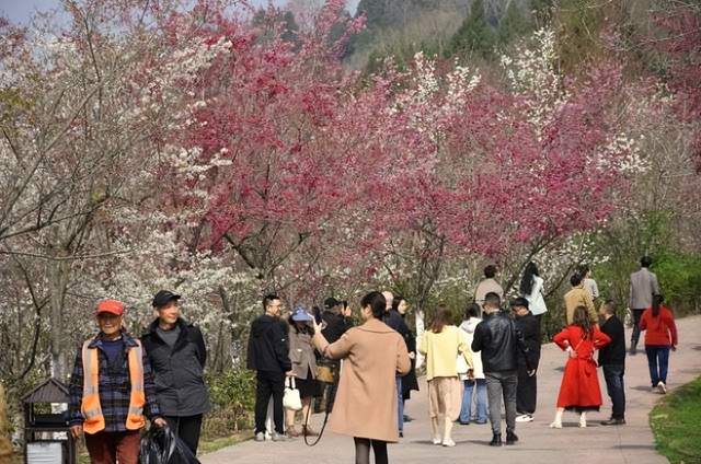 四川省民生研究会新媒体中心-官网