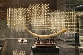 这可能是全国最浮夸的澡堂图片
