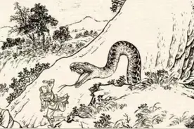 民间故事：山中蟒蛇害人，村民们准备绞杀，寡妇：它是你们的恩人图片