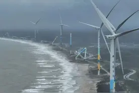 “抗台型”风机批量倒塌，都是低价竞标惹的祸？图片