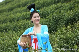 终于明白了，为什么会有这么多的人说网上买茶不靠谱图片
