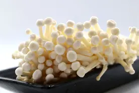 为什么金针菇也叫“明天见”？吃了不消化等于白吃？别再误会它了图片