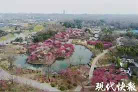 烟花三月下扬州，瘦西湖两个月迎百万游客图片