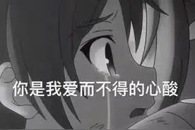我受过凌迟大刑，是你走后一遍遍想你《文案》图片