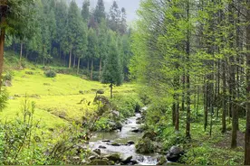 雨天跋山涉水，徒步人迹罕至的深山野岭，是一种别样的体验图片