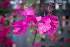 真心爱过的人，永远在心里，一起走过的岁月，永远难忘记，好想你图片