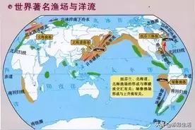 地理知识｜洋流的分布规律图片