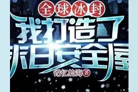 全球冰封:我打造末日安全屋图片