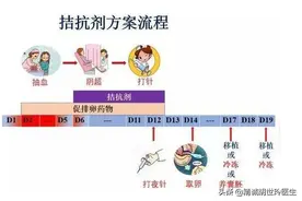 什么是拮抗剂方案？拮抗剂方案的利与弊图片