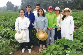 点豆成“金”！吉大植物科学学院王庆钰教授在盐碱地上成功种出了优质高产的大豆图片