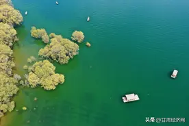 刘家峡水电厂持续加强黄河流域生态保护图片