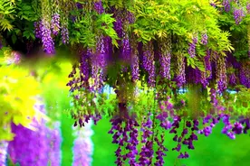 愿时光，温柔相待，愿此生，不负深情图片