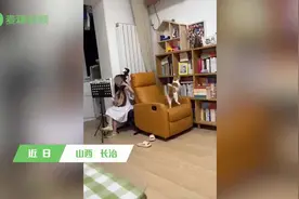 （视频）山西：7岁萌娃练琴时猫咪用尾巴打节奏图片