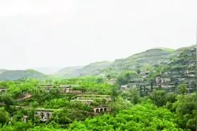 佳县泥河沟村：黄河岸边青纱帐图片